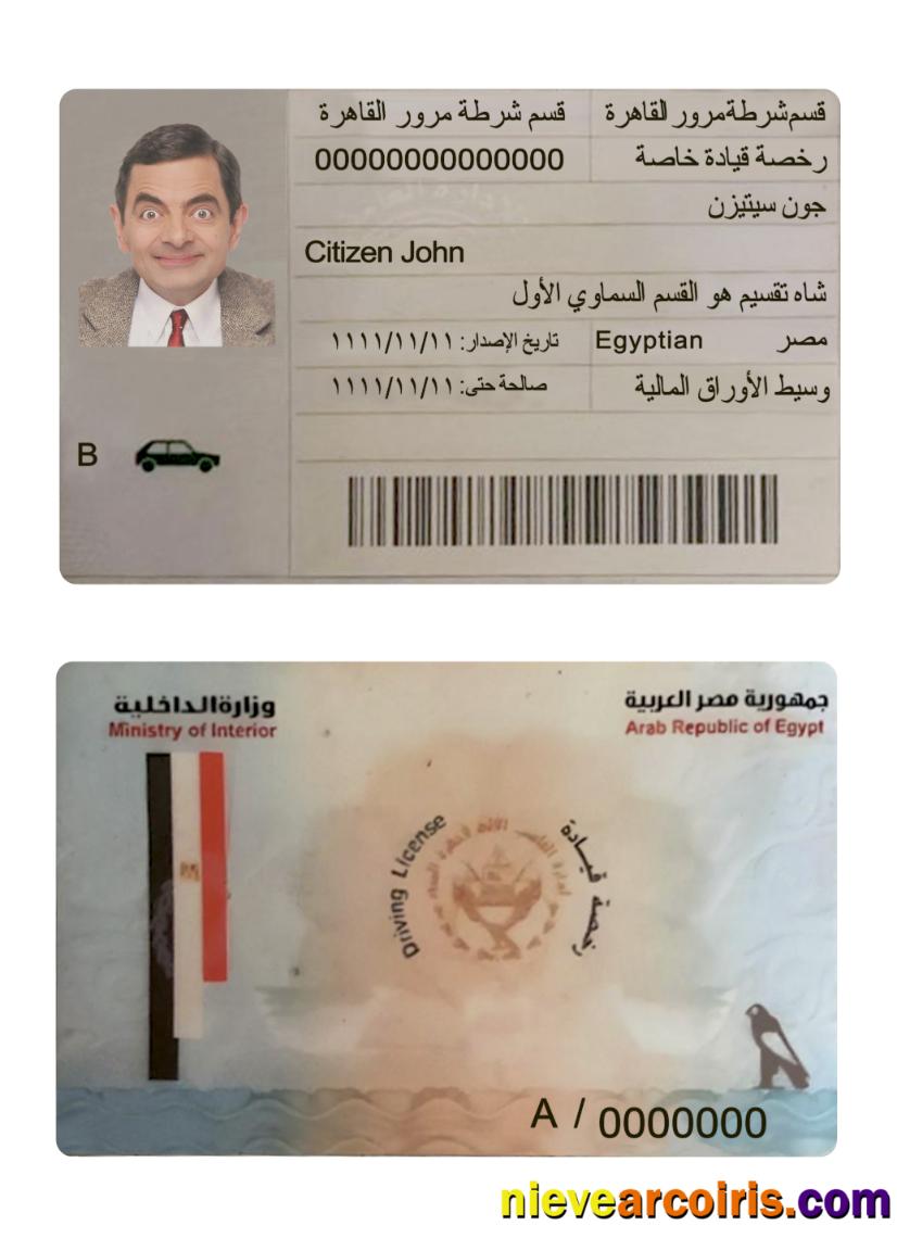 Egypt driving license